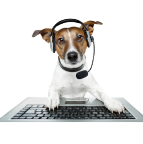 Illustration of a dog wearing a headset at a keyboard — the mascot of the Transkript online transcription service
